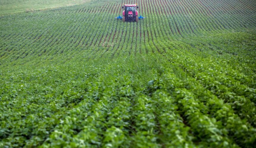 PAC : les principaux points pour verdir l’agriculture de l’UE