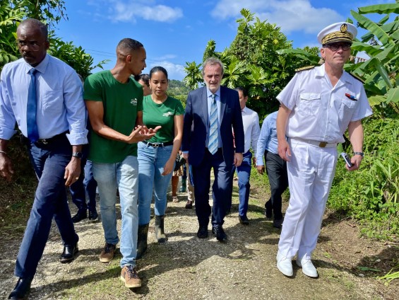 En mars 2023, le secrétaire d'État à l'Outre-mer, Jean-François Carenco, accompagné du président de Région, Ary Chalus, visitent l'exploitation de volaille bio de Boris Damase ancien élève du lycée agricole. Photo DAAF Guadeloupe