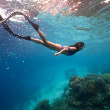 Nageuse palme masque tuba barrière de corail Nageuse palme masque tuba barrière de corail