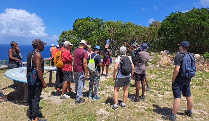 Visite commentée de la forêt xérophile à la Pointe de la Grande Vigie à Anse-Bertrand le samedi 23 mars en écho à la journée internationale des forêts. Photo : FB Anse-Bertrand, l'Authentique