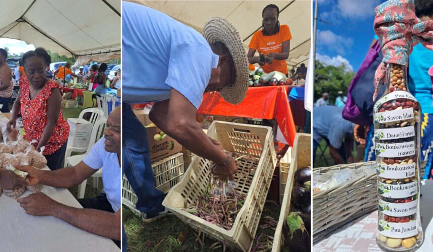 La 6ème édition de la journée des pois organisée dimanche 10 mars 2024 à Anse-Bertrand a été un succès de fréquentation. Photo : FB Anse-Bertrand, l'Authentique