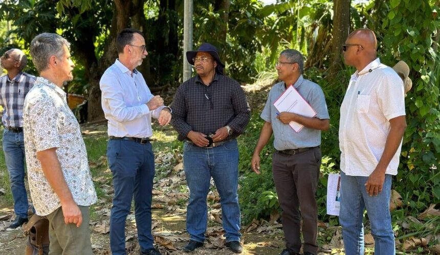 Le mairie de Capesterre-Belle-Eau, Jean-Philippe Courtois, et le directeur de la Déal Guadeloupe, Olivier Kremer, passent en revue le 12 avril 2024 des habitations en péril d’effondrement côtier. Photo : FB Ville de Capesterre Belle-Eau
