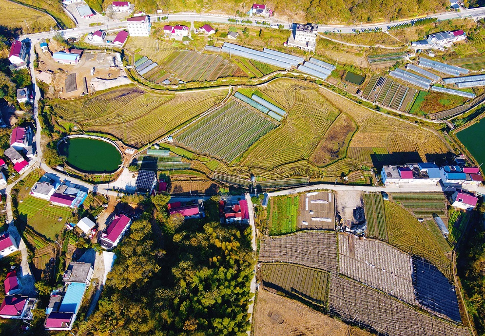 Vue aérienne des serres pilotes de plantations en trois dimensions de fraises au village de Qianfota, ville d'Anqing, province d'Anhui (est de la Chine) le 23 octobre 2024. Photo : CFOTO / Sipa USA.