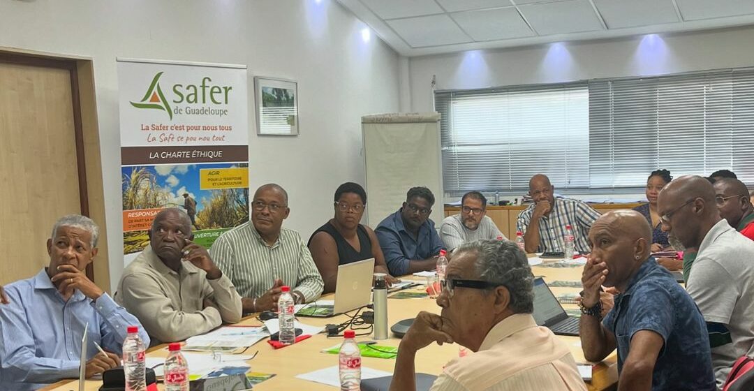 Comité technique Safer qui statue sur l’attribution des terrains agricoles, ici réunion de juin 2024. Photo : Safer Guadeloupe Comité technique Safer qui statue sur l’attribution des terrains agricoles, ici réunion de juin 2024. Photo : Safer Guadeloupe