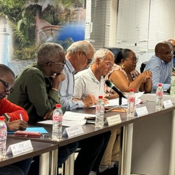 conseil CAGSC Conseil communautaire de la communauté d’agglomération Grand sud Caraïbe. Photo d’illustration. 2024