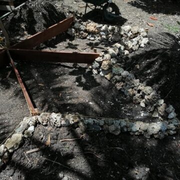 Zones de culture réalisées en juillet 2021 sur le Jardin des valeurs, réalisées par des jardiniers en remobilisation vers l'emploi au sein de l’association Bwa kapab à Petit-Canal. Photo : Bwa kapab