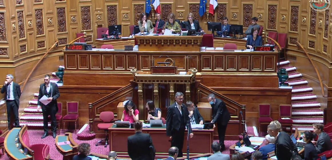 Séance publique du Sénat, jeudi 12 juin, d’adoption de la proposition de loi qui reconnait la responsabilité de l’État dans le scandale du chlordécone. Photo : Capture écran Sénat