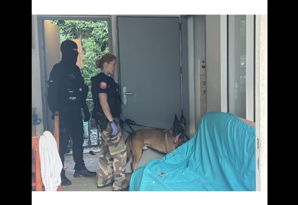 Opération de la brigade de répression des armes et de lutte contre le crime organisé (Braco) : le maître-chien de la brigade cynophile participe aux perquisitions chez les suspects de vols à main armée. Photo : Gendarmerie de Guadeloupe