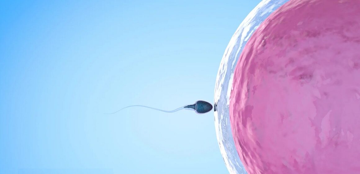 Photo d'illustration natalité Photo d'illustration natalité