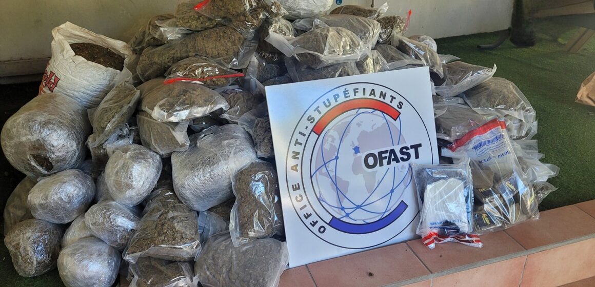 Saisie de stupéfiants dans le sud de la Guadeloupe, novembre 2025. Les ballots de cannabis et de cocaïne, ici disposés après leur interception, provenaient d'une filière active entre la Dominique et la Guadeloupe. Photo : Police nationale de Guadeloupe Saisie de stupéfiants dans le sud de la Guadeloupe, novembre 2025. Les ballots de cannabis et de cocaïne, ici disposés après leur interception, provenaient d'une filière active entre la Dominique et la Guadeloupe. Photo : Police nationale de Guadeloupe