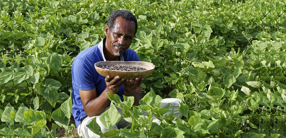 Dr Henry Joseph, Dr en pharmacognosie, directeur de Phytobokaz. Photo : Henry Joseph